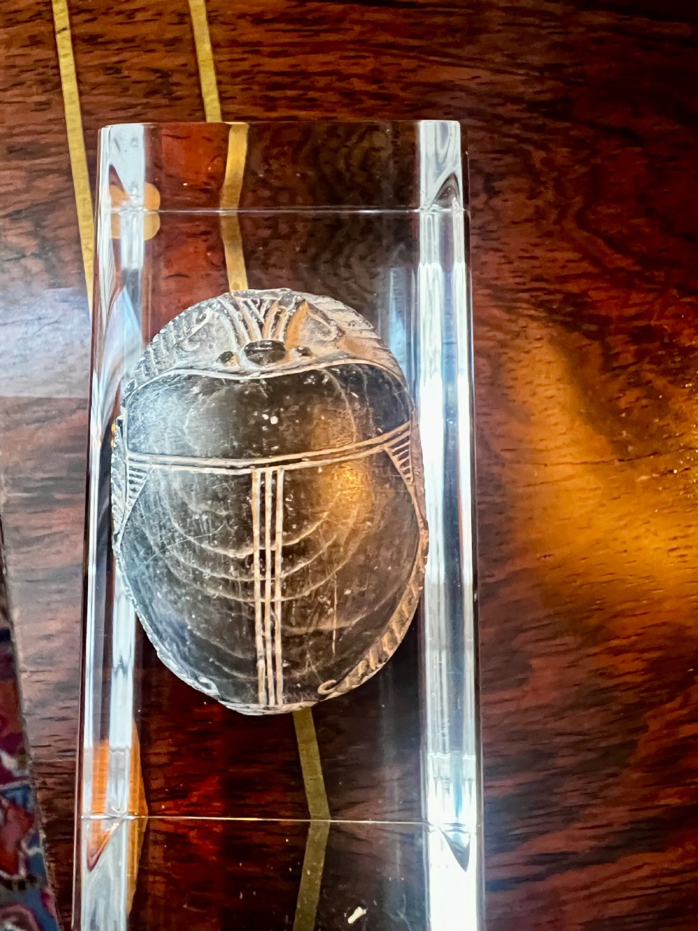 Four carved grey stone Egyptian scarabs and deity figurines displayed individually on clear acrylic block stands. View X