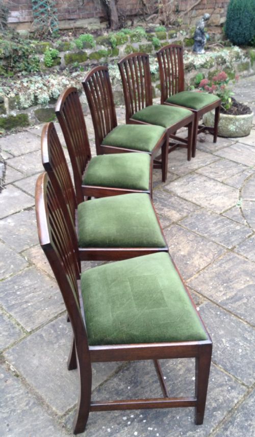 super set of six mahogany dining chairs - CATEGORY: ANTIQUE CHAIRS - DATED 1910