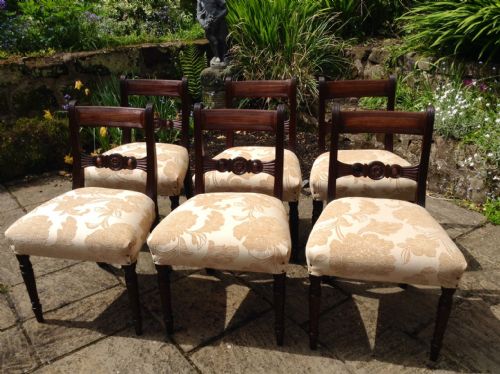 superb quality cuban mahogany regency dining chairs - CATEGORY: ANTIQUE CHAIRS - DATED 1800
