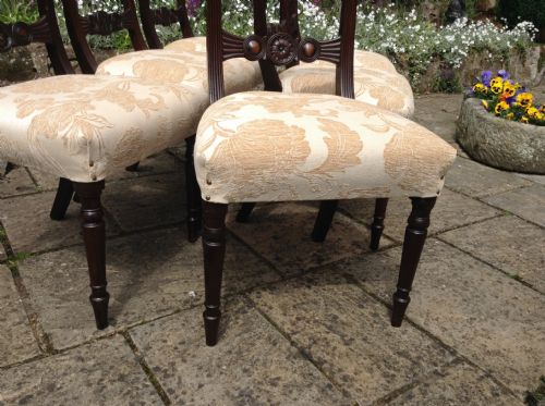 SUPERB QUALITY CUBAN MAHOGANY REGENCY DINING CHAIRS - ADDITIONAL PHOTO 2