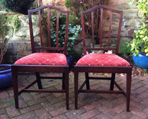 pair of georgian mahogany chairs - CATEGORY: ANTIQUE CHAIRS - DATED 1800