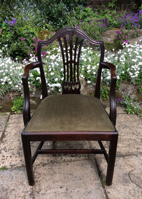 georgian armchair elbow carver - CATEGORY: ANTIQUE CHAIRS - DATED GEORGIAN