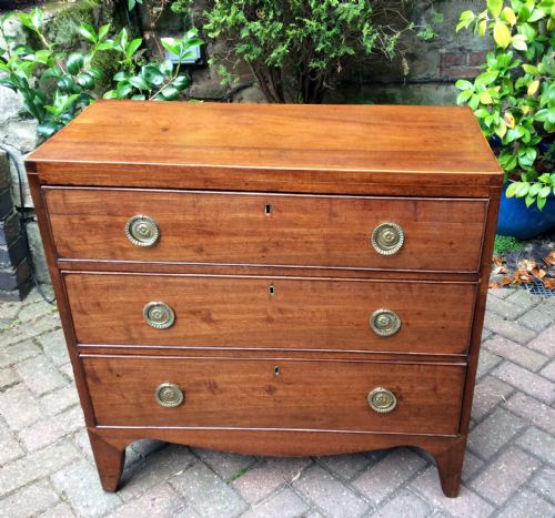 exceptionally small narrow regency chest of drawers - CATEGORY: ANTIQUE CHEST OF DRAWERS - DATED 1800