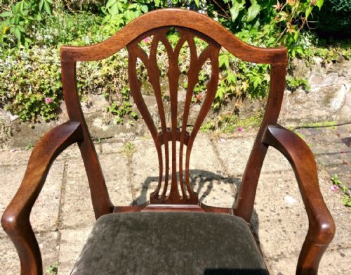 georgian mahogany carver chair - CATEGORY: ANTIQUE CHAIRS - DATED 18TH CENTURY
