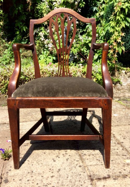 GEORGIAN MAHOGANY CARVER CHAIR - ADDITIONAL PHOTO 3