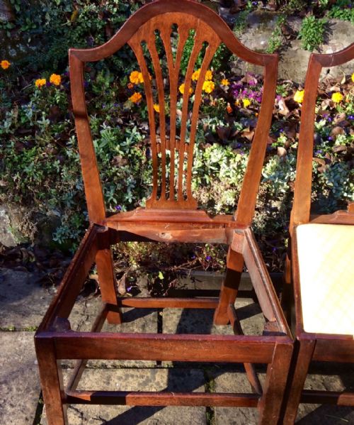 SUPER SET OF FOUR HEPPLEWHITE PERIOD GEORGIAN CHAIRS - ADDITIONAL PHOTO 1