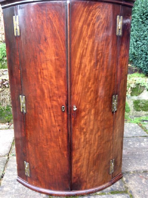 GEORGIAN MAHOGANY BOW FRONT CORNER CUPBOARD - ADDITIONAL PHOTO 1