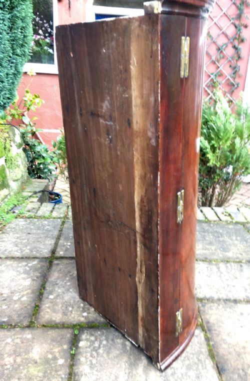 GEORGIAN MAHOGANY BOW FRONT CORNER CUPBOARD - ADDITIONAL PHOTO 2
