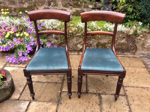 a pair of late regency chairs - CATEGORY: ANTIQUE CHAIRS - DATED 19TH CENTURY