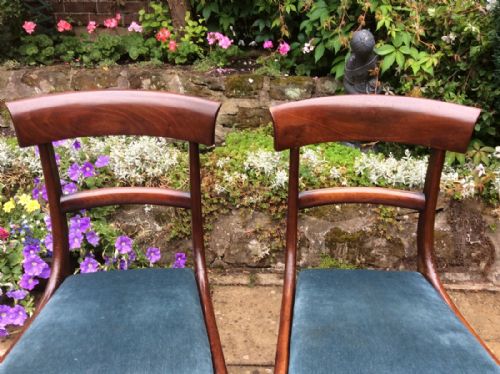 A PAIR OF LATE REGENCY CHAIRS - ADDITIONAL PHOTO 3