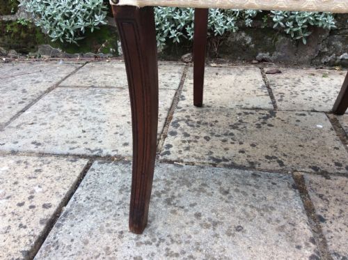 REGENCY ELBOW CARVER ARMCHAIR - ADDITIONAL PHOTO 4