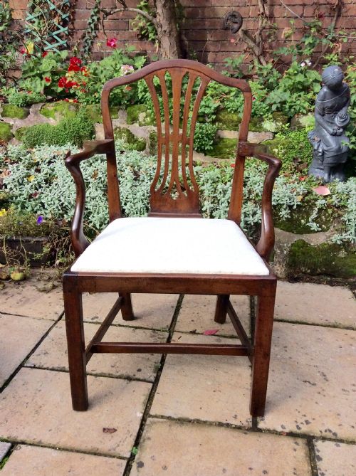 georgian period mahogany hepplewhite armchair - CATEGORY: ANTIQUE CHAIRS - DATED 18TH CENTURY