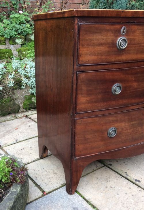 SMALL REGENCY BOW FRONT CHEST OF DRAWERS - ADDITIONAL PHOTO 2