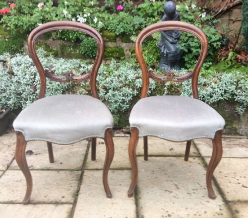 a pair of cabriole leg balloon back chairs - CATEGORY: ANTIQUE CHAIRS - DATED VICTORIAN