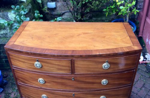 REGENCY BOW FRONT MAHOGANY CHEST OF DRAWERS - ADDITIONAL PHOTO 2
