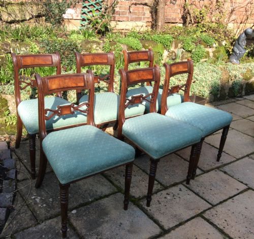 set of six regency mahogany dining chairs - CATEGORY: ANTIQUE CHAIRS - DATED REGENCY