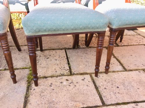 SET OF SIX REGENCY MAHOGANY DINING CHAIRS - ADDITIONAL PHOTO 2