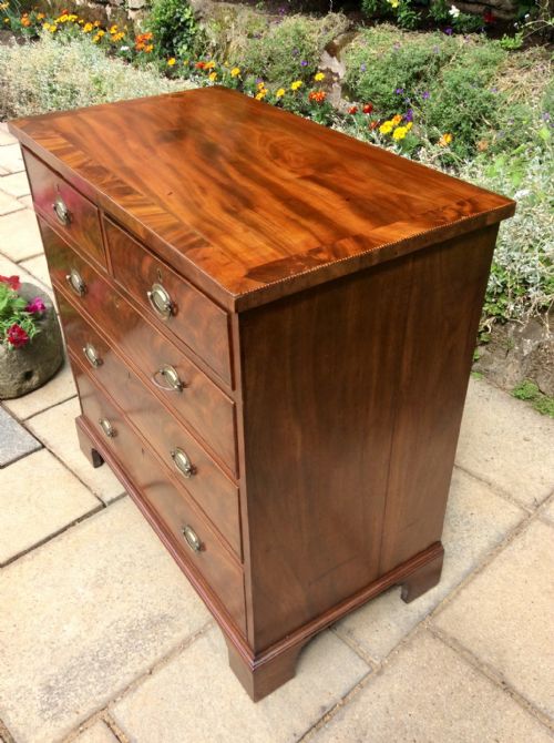 SMALL REGENCY MAHOGANY CHEST OF DRAWERS - ADDITIONAL PHOTO 5
