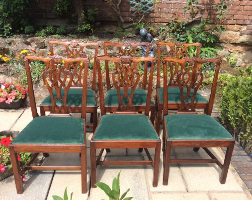 a set of six georgian chairs - CATEGORY: ANTIQUE CHAIRS - DATED 18TH CENTURY
