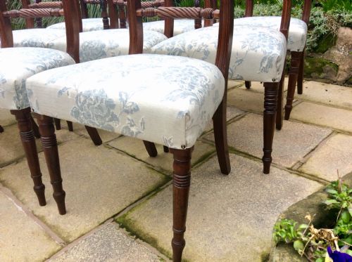 TEN REGENCY DINING CHAIRS - ADDITIONAL PHOTO 6