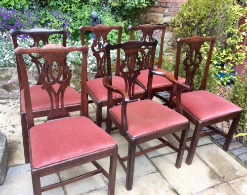 six georgian mahogany dining chairs - CATEGORY: ANTIQUE CHAIRS - DATED 18TH CENTURY