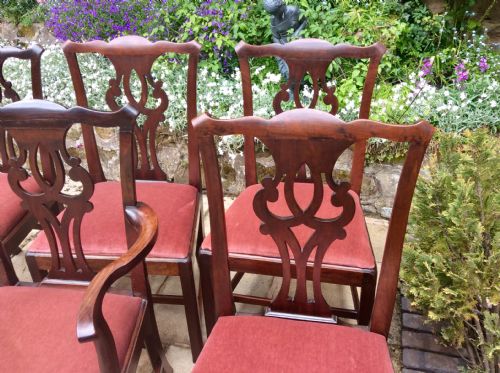 SIX GEORGIAN MAHOGANY DINING CHAIRS - ADDITIONAL PHOTO 1
