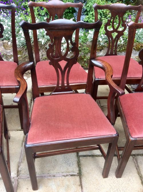 SIX GEORGIAN MAHOGANY DINING CHAIRS - ADDITIONAL PHOTO 2