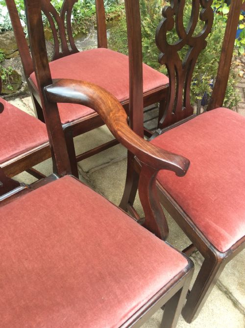 SIX GEORGIAN MAHOGANY DINING CHAIRS - ADDITIONAL PHOTO 4