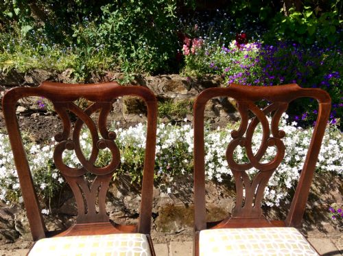 FOUR GEORGIAN CHIPPENDALE MAHOGANY CHAIRS - ADDITIONAL PHOTO 3