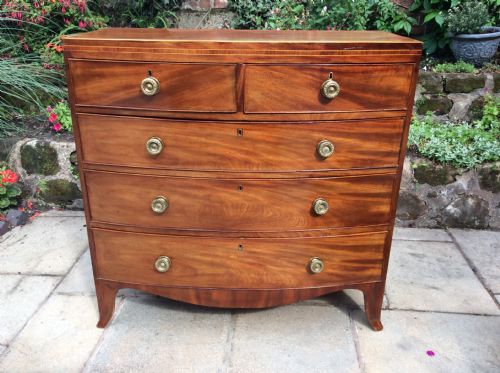 regency bow front mahogany chest of drawers - CATEGORY: ANTIQUE CHEST OF DRAWERS - DATED REGENCY