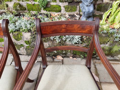 PAIR OF REGENCY ELBOW CHAIRS - ADDITIONAL PHOTO 7