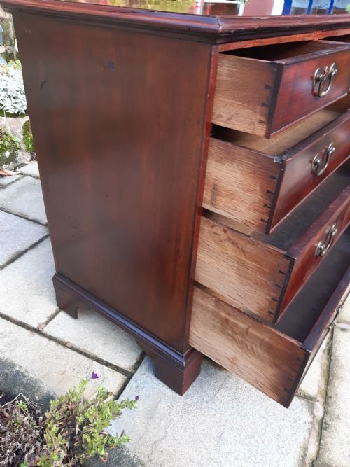SMALL GEORGIAN MAHOGANY CHEST OF DRAWERS - ADDITIONAL PHOTO 3