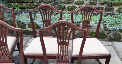 SIX GEORGIAN HEPPLEWHITE MAHOGANY DINING CHAIRS - ADDITIONAL PHOTO 1
