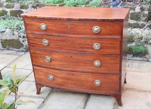 super small regency mahogany bow front chest of drawers - CATEGORY: ANTIQUE CHEST OF DRAWERS - DATED 1800