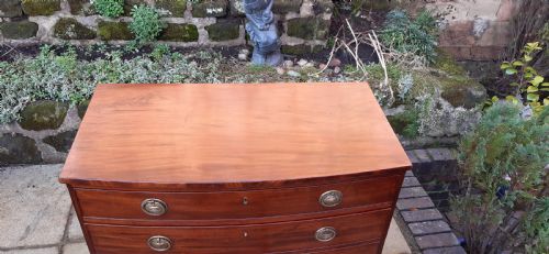 SUPER SMALL REGENCY MAHOGANY BOW FRONT CHEST OF DRAWERS - ADDITIONAL PHOTO 2