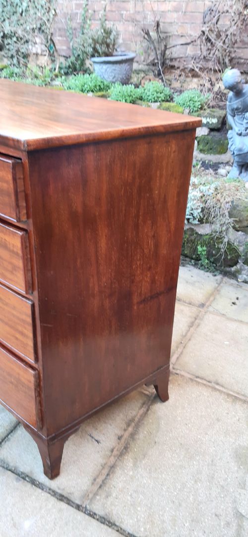SUPER SMALL REGENCY MAHOGANY BOW FRONT CHEST OF DRAWERS - ADDITIONAL PHOTO 6