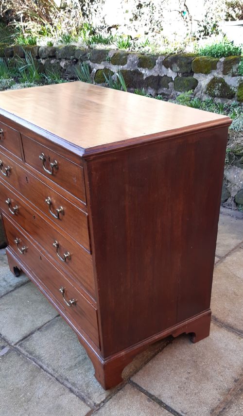 SWEET SMALL GEORGIAN MAHOGANY CHEST OF DRAWERS - ADDITIONAL PHOTO 3