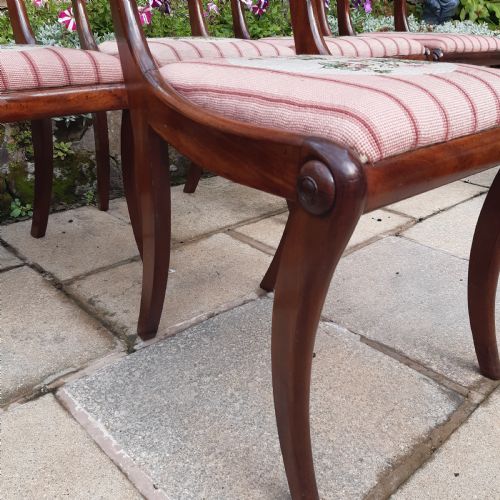 SET OF SIX LATE REGENCY MAHOGANY CHAIRS - ADDITIONAL PHOTO 3