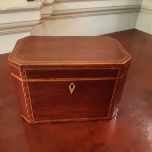 partridge wood tea caddy - CATEGORY: ANTIQUE BOXES - DATED 1800