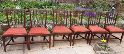 set of 6 mahogany georgian dining chairs - CATEGORY: ANTIQUE CHAIRS - DATED 1800