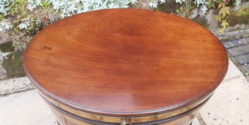 GEORGIAN MAHOGANY OVAL WINE COOLER - ADDITIONAL PHOTO 5