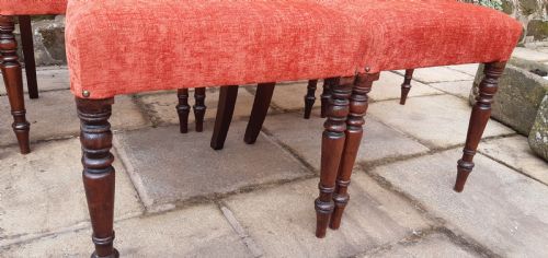 BEAUTIFUL SET OF SIX MAHOGANY REGENCY DINING CHAIRS - ADDITIONAL PHOTO 8