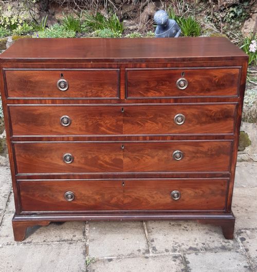georgian mahogany chest of drawers - CATEGORY: ANTIQUE CHEST OF DRAWERS - DATED 1800
