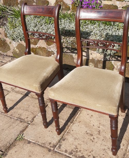 a pair of regency chairs - CATEGORY: ANTIQUE CHAIRS - DATED REGENCY