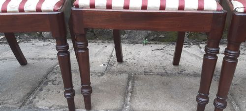 SET OF FOUR REGENCY CHAIRS - ADDITIONAL PHOTO 6
