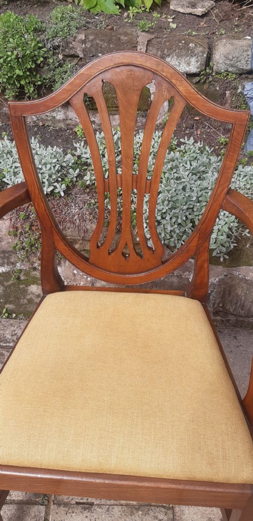 MAHOGANY GEORGIAN CARVER ELBOW HEPPLEWHITE CHAIR - ADDITIONAL PHOTO 2