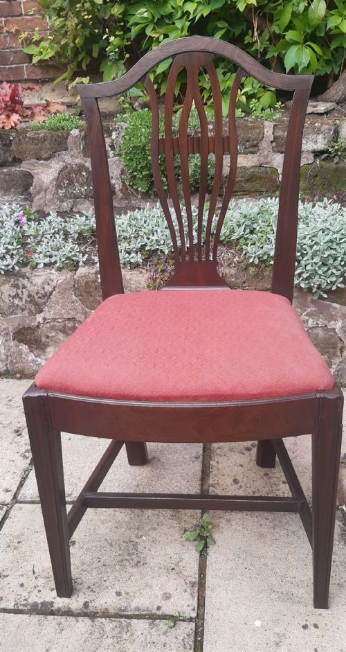 single georgian chair hepplewhite mahogany - CATEGORY: ANTIQUE CHAIRS - DATED 18TH CENTURY