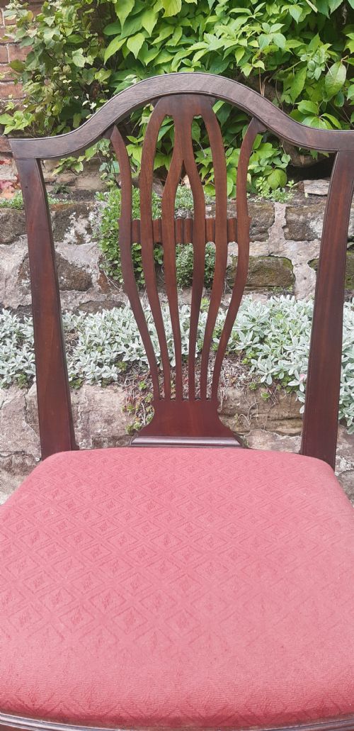 SINGLE GEORGIAN CHAIR HEPPLEWHITE MAHOGANY - ADDITIONAL PHOTO 1