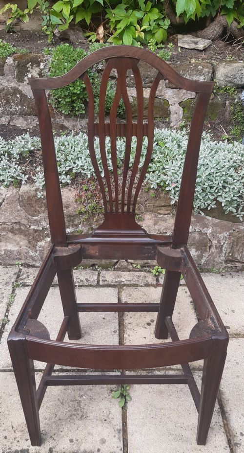 SINGLE GEORGIAN CHAIR HEPPLEWHITE MAHOGANY - ADDITIONAL PHOTO 3