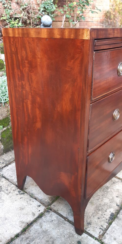 MAHOGANY CHEST OF DRAWERS REGENCY - ADDITIONAL PHOTO 5